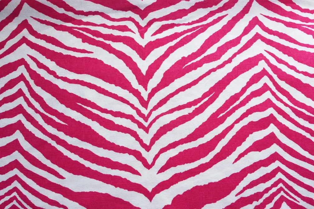 Printed Cotton Canvas0