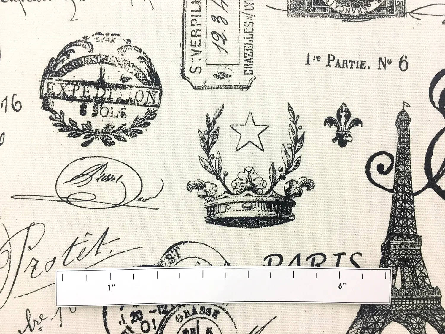 Cotton Canvas Parisian Print1