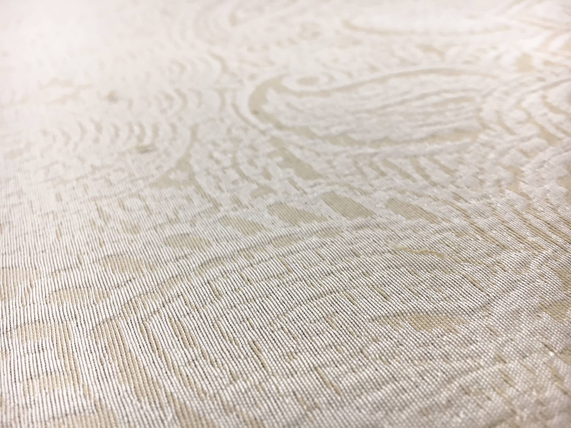Indian Silk Brocade with Faint Paisley Patterns2
