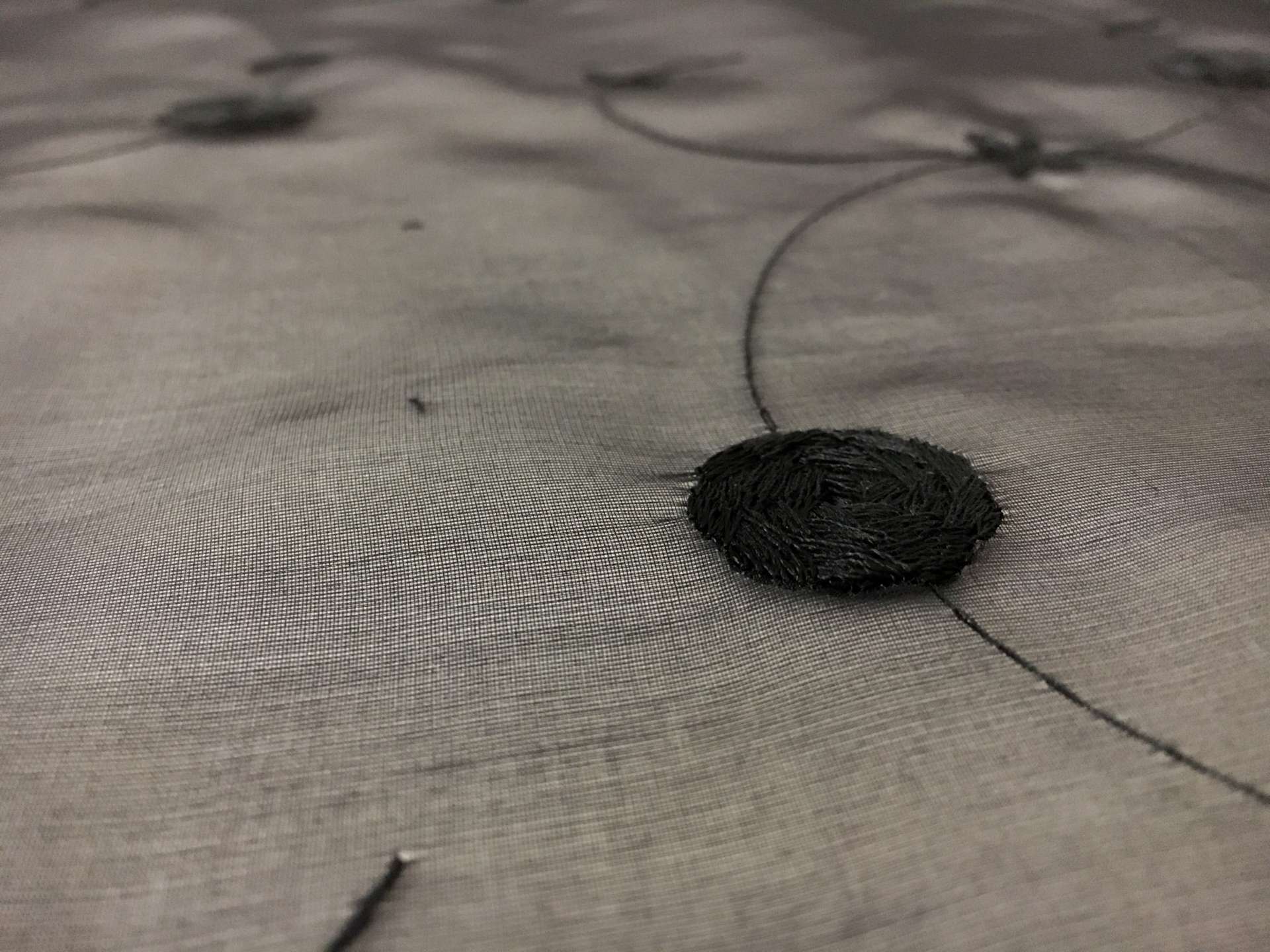 Black Silk Organza Embroidered with Small Round Flowers0