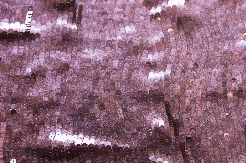 Sequins on Silk Chiffon0