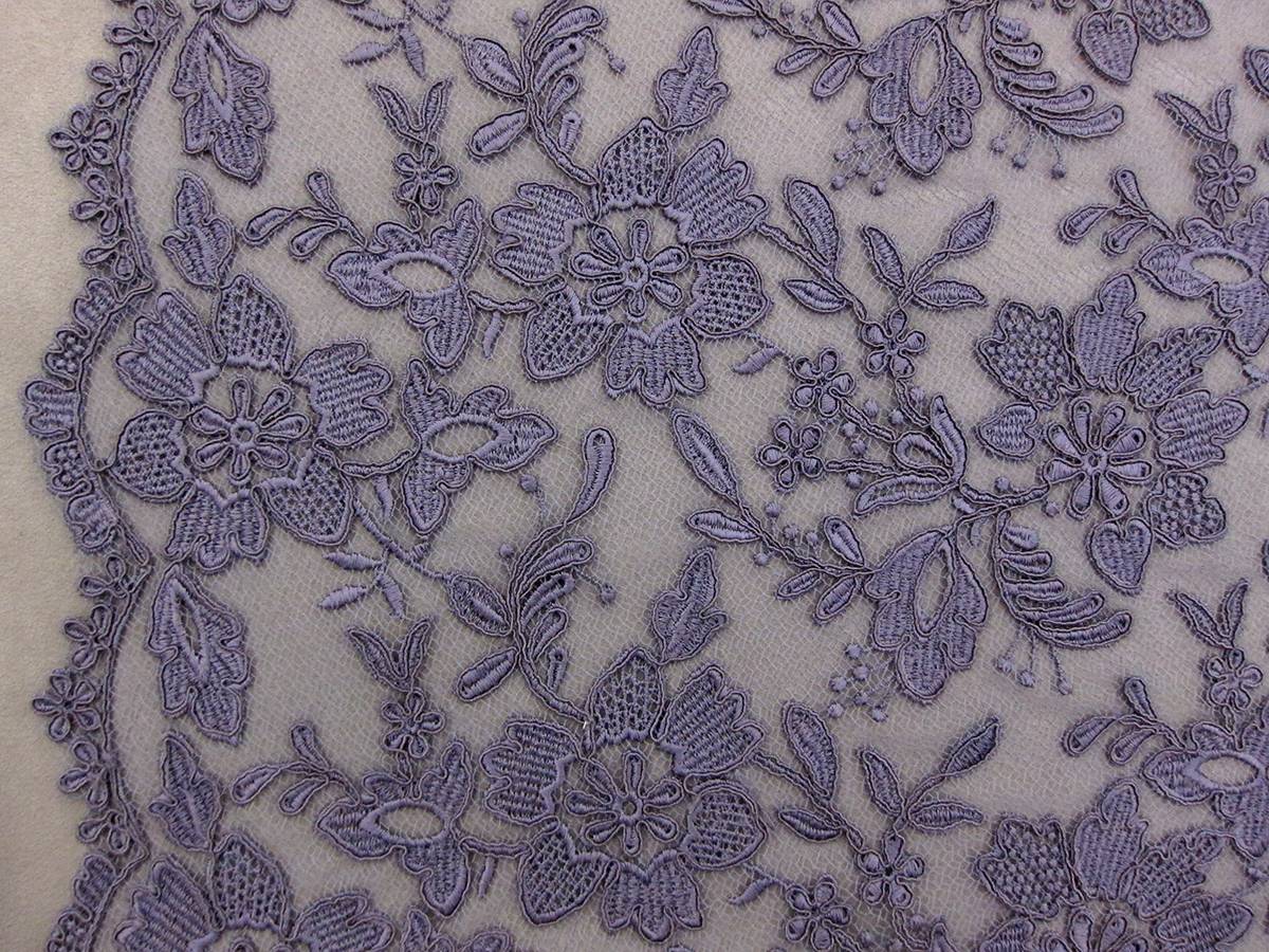 Corded Embroidered Novelty Tulle0