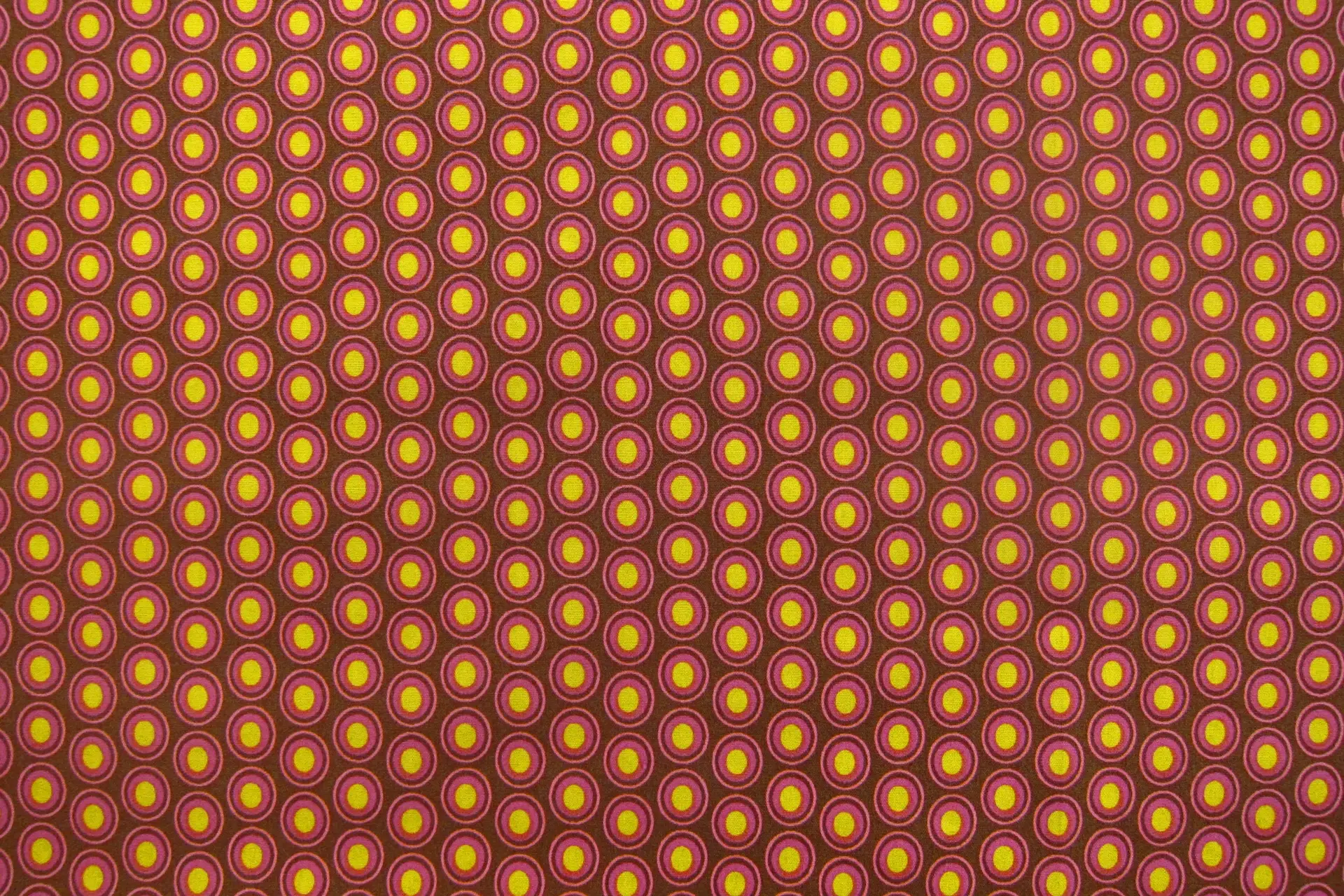 Cotton Broadcloth Print0