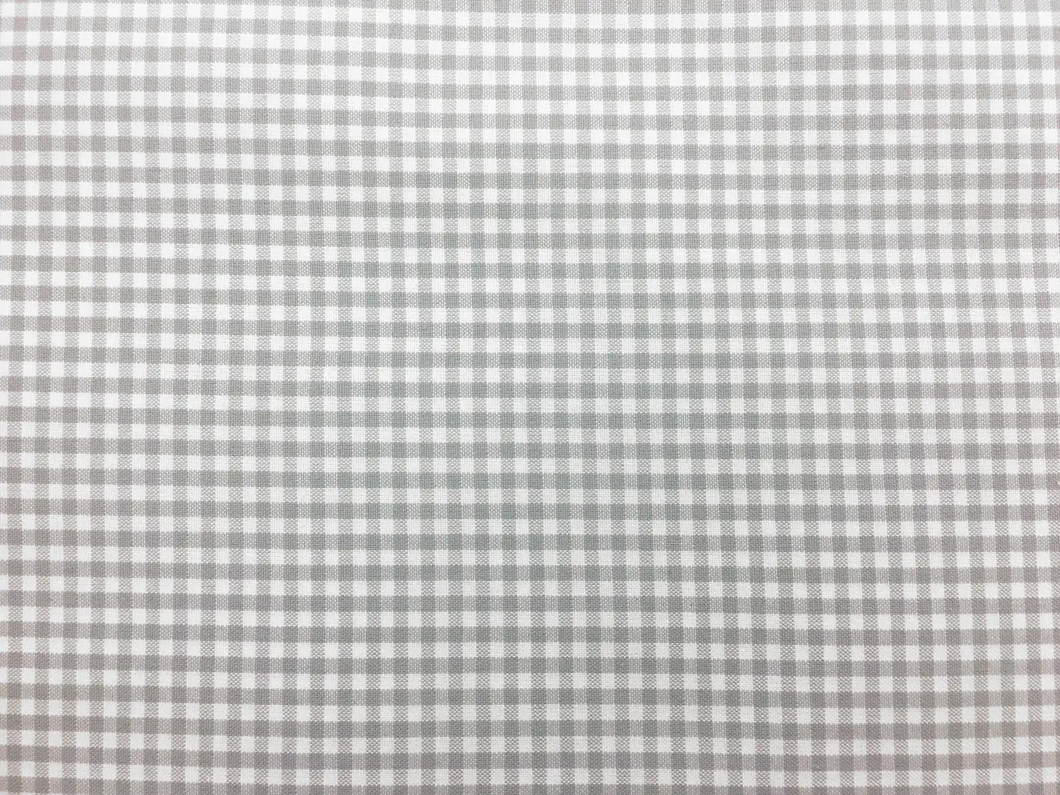 Carolina Cotton Gingham in Platinum0