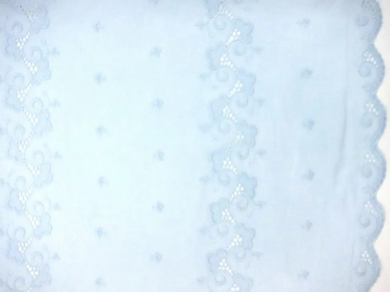 Embroidered Cotton Voile Eyelet in Sky Blue0
