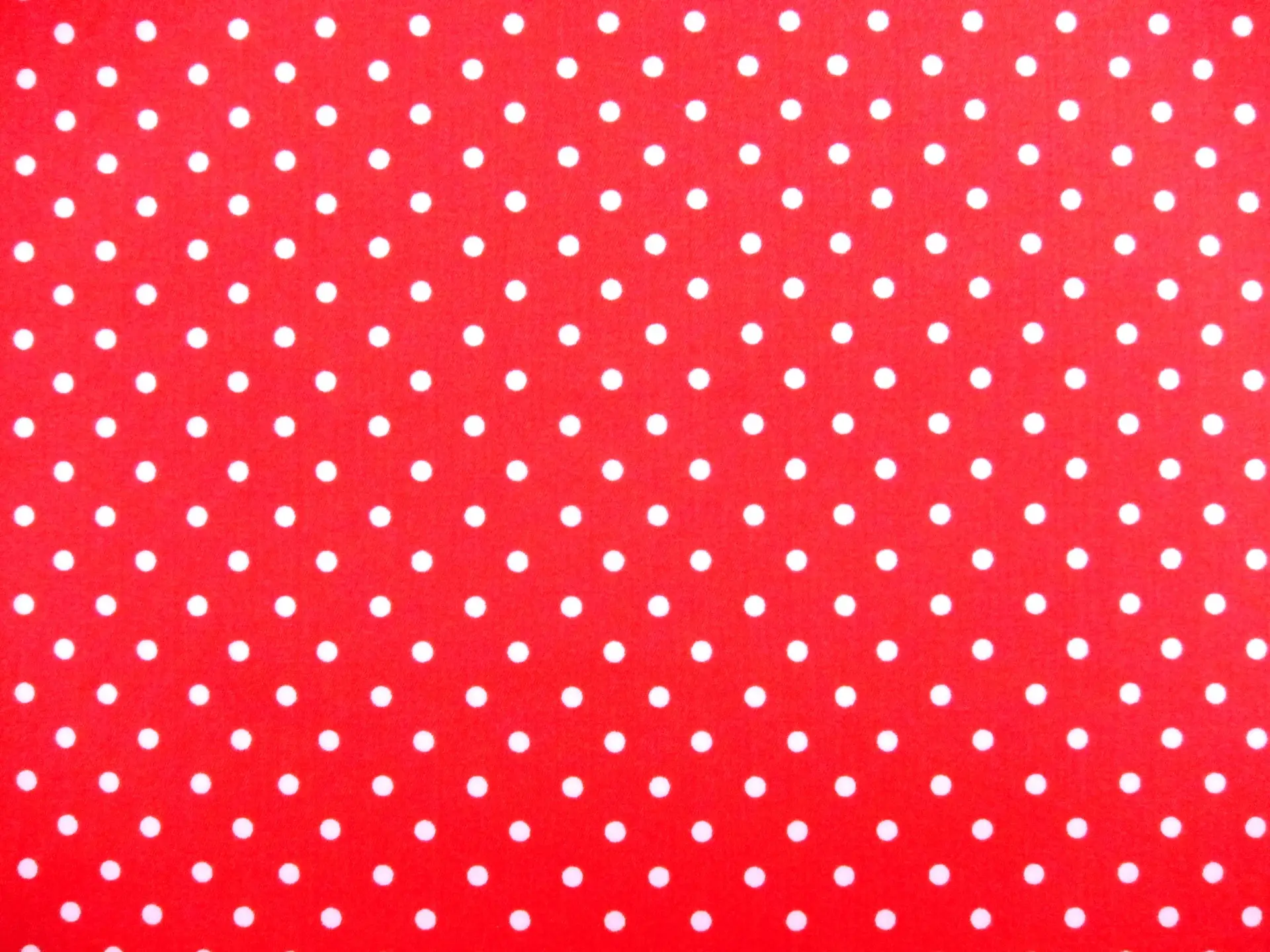 Printed Cotton Lycra Twill0