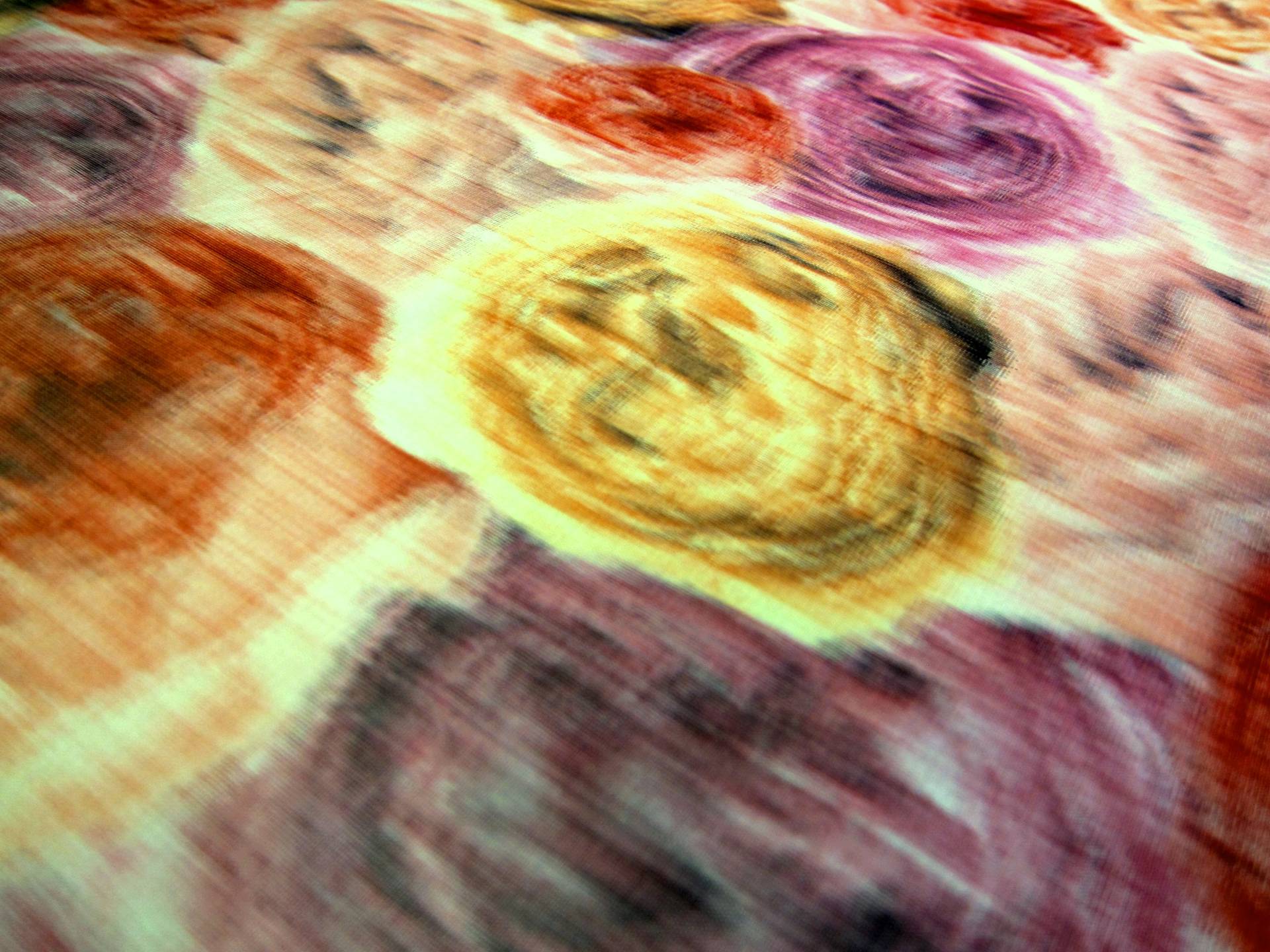 Warp Printed Iridescent Taffeta2
