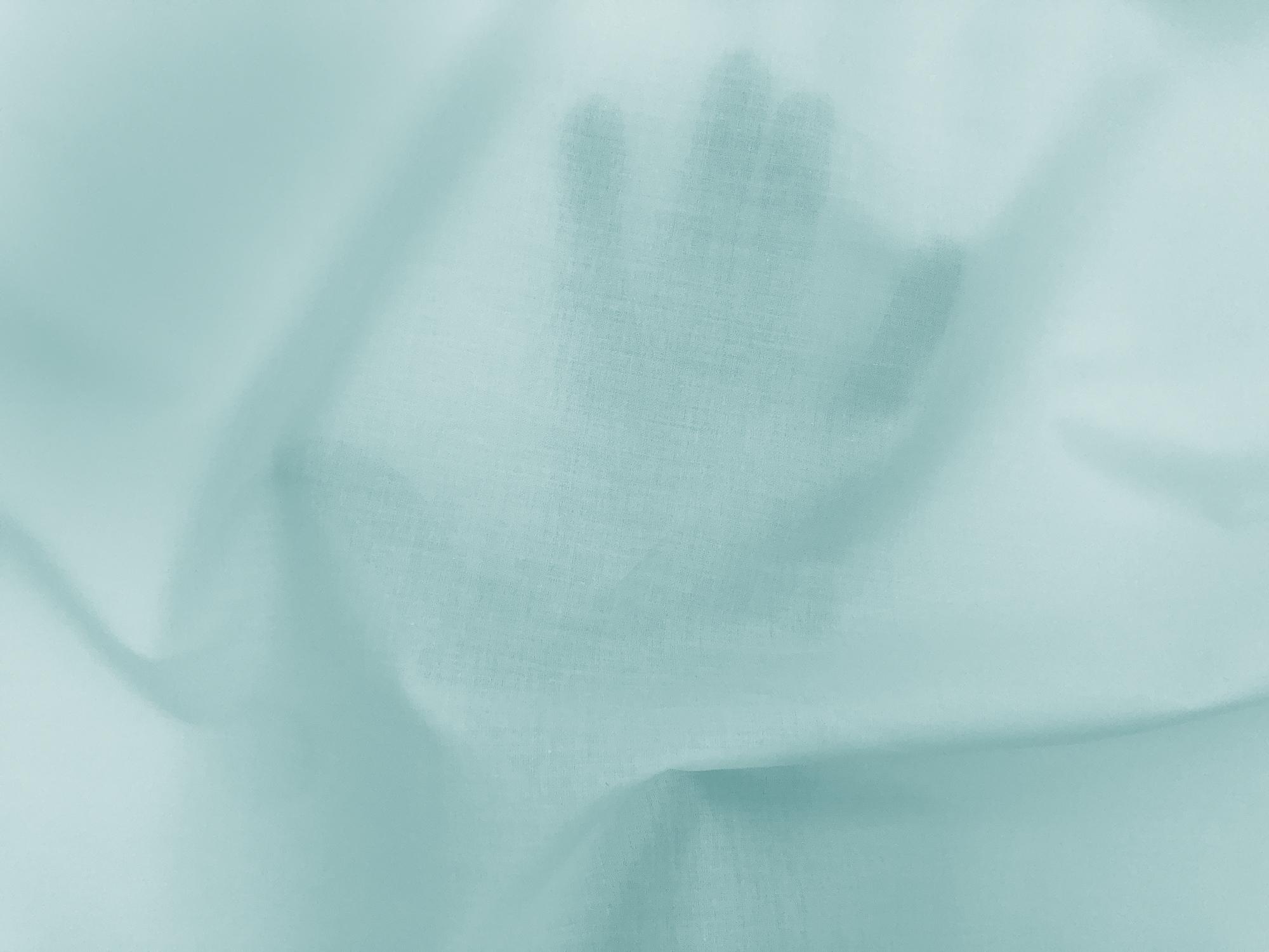 Cotton Lawn in Robin Blue2