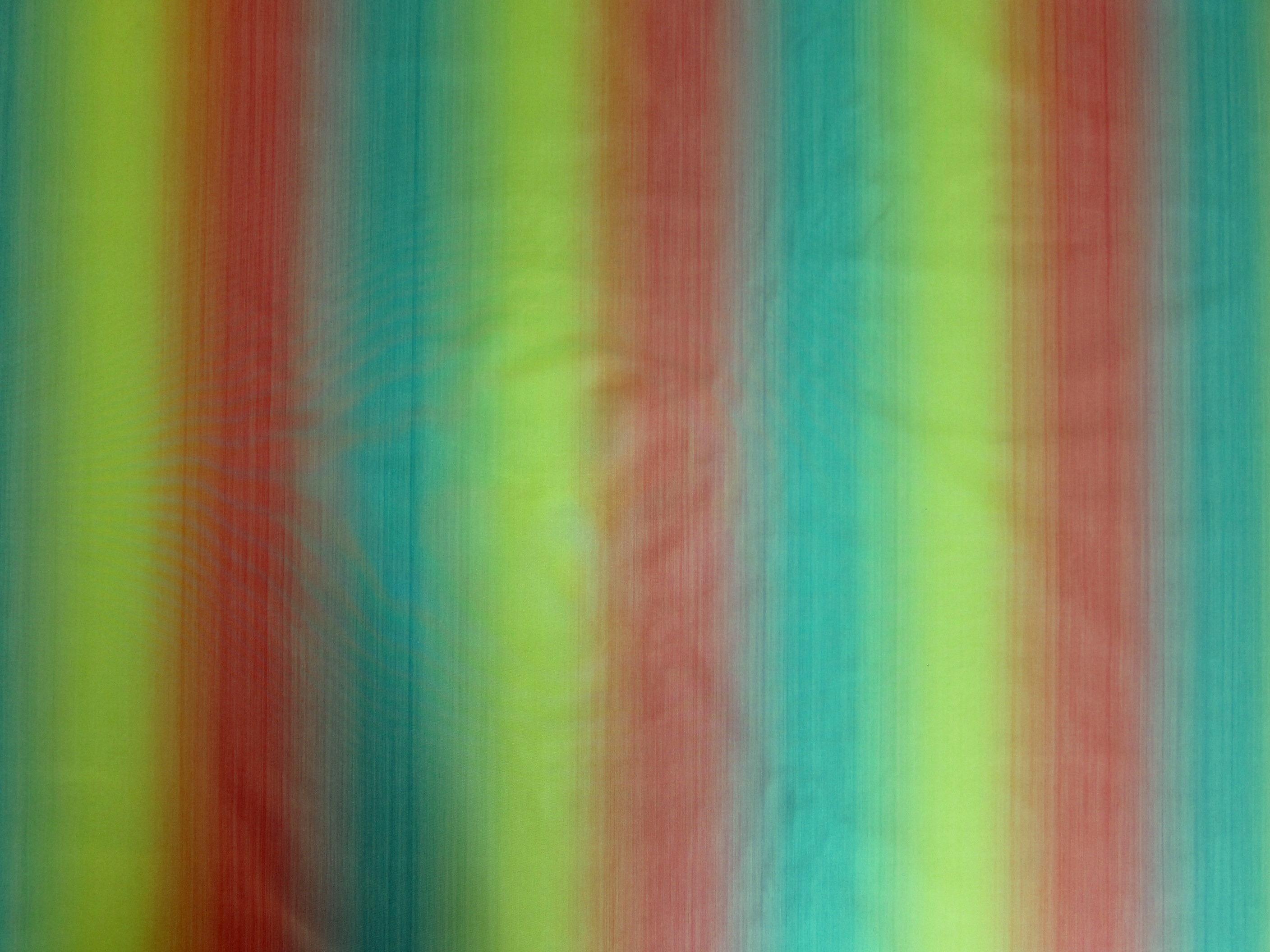 Silk Warp Printed Taffeta0