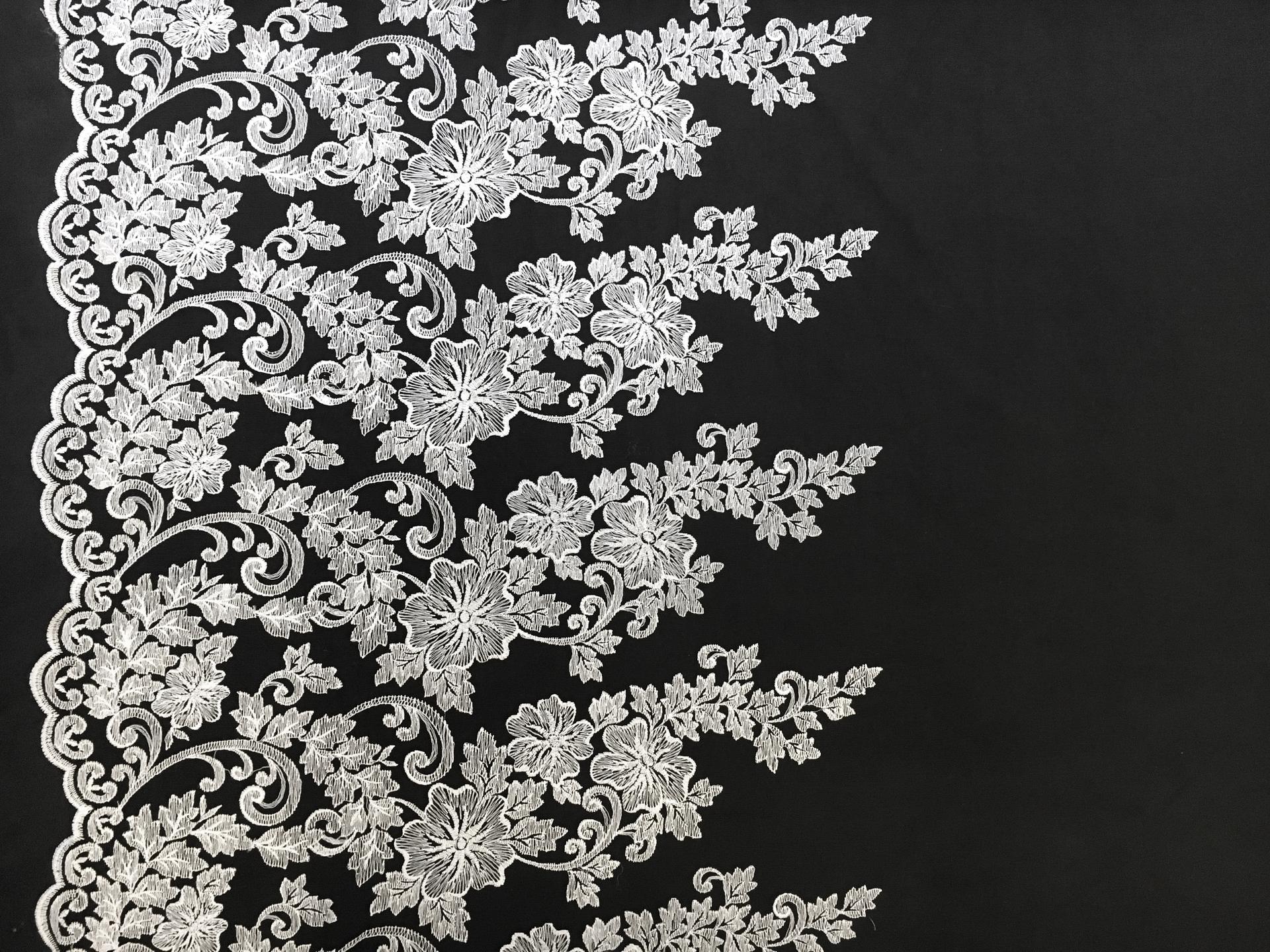 Embroidered Black Illusion with Ornate Single Border0