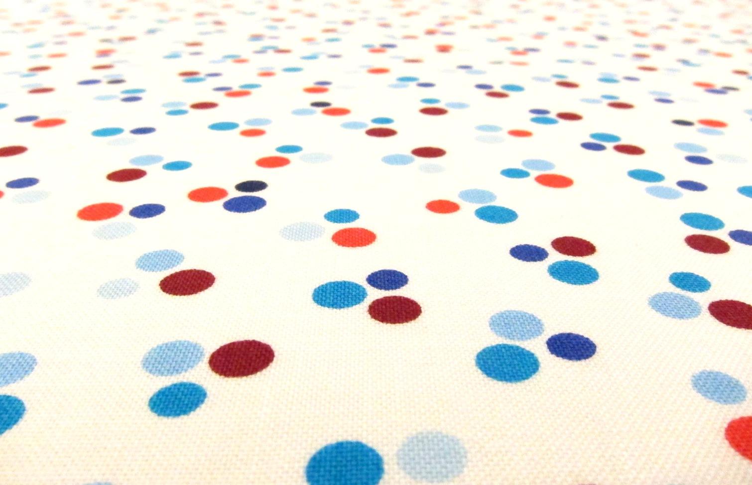 Cotton Broadcloth Print2