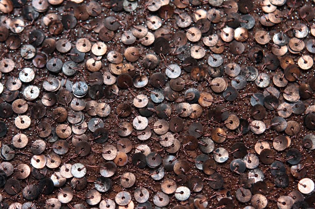 Sequins on Metallic Tulle2