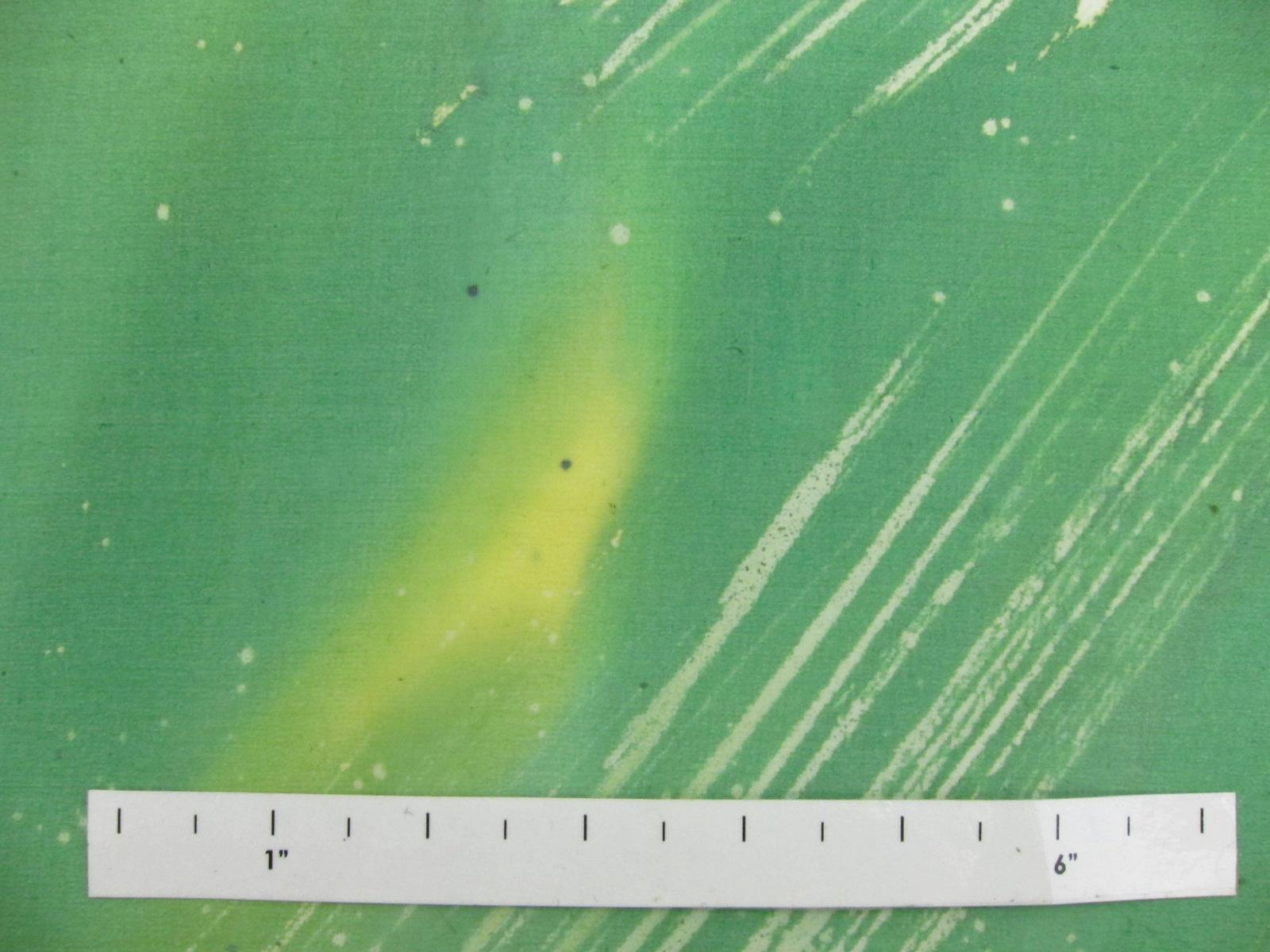 Printed Silk Chiffon0