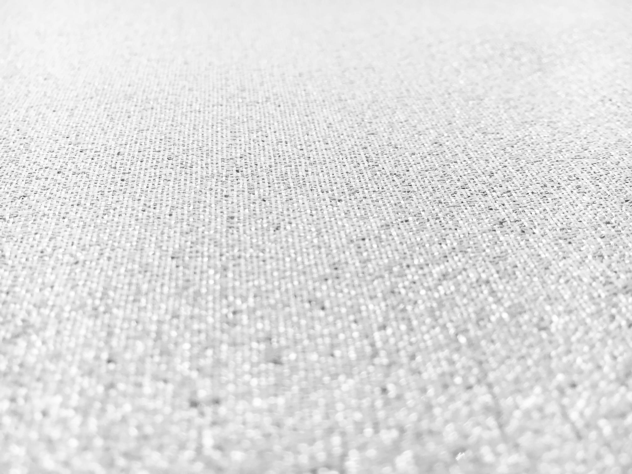 Polyester and Cotton Blend Lamé in Platinum1