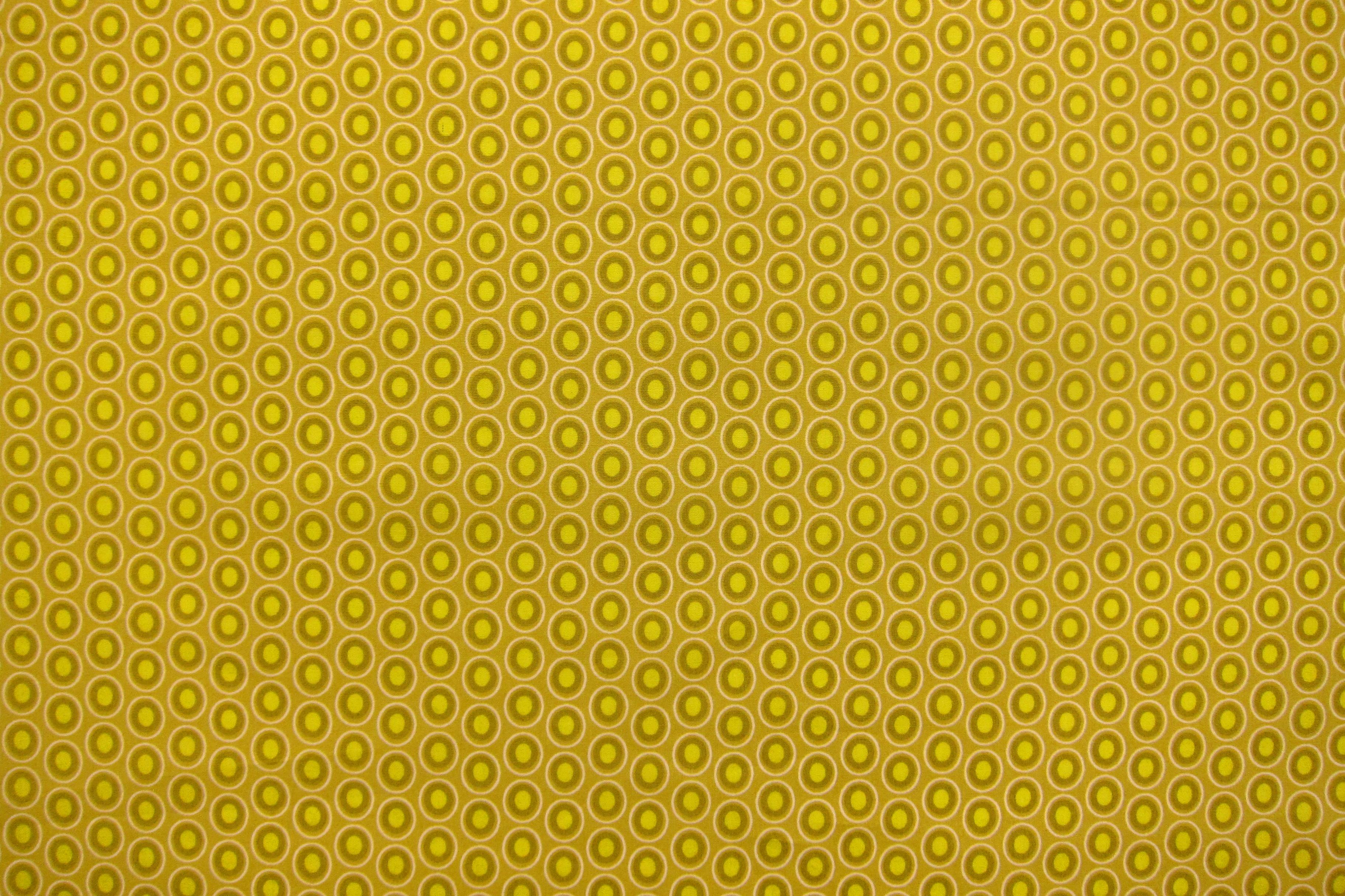 Cotton Broadcloth Print2