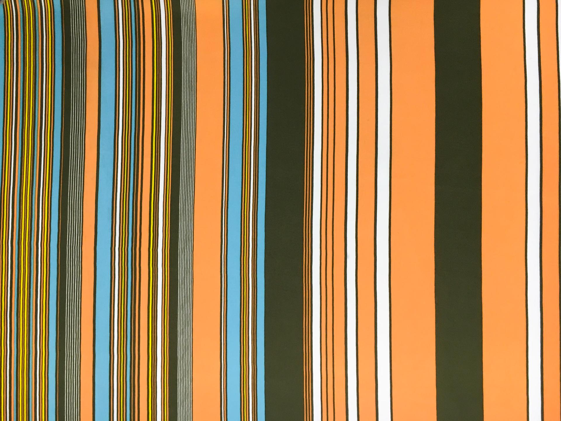 Printed Silk Charmeuse0