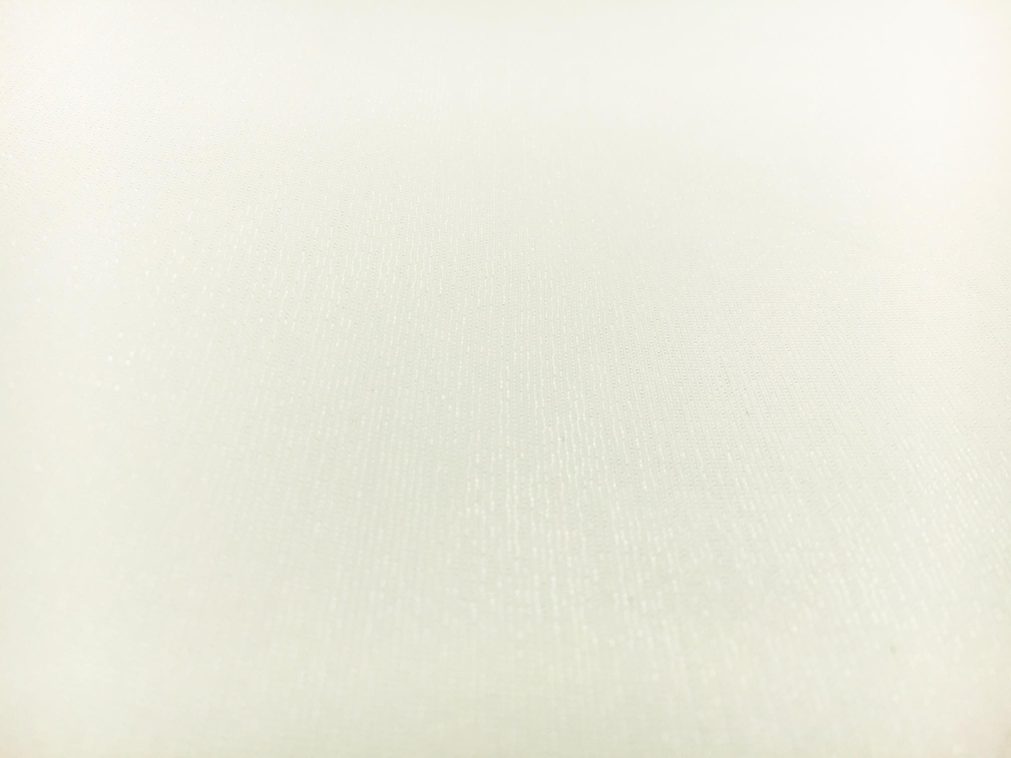 Italian Metallic Crinoline in Opalescent White1