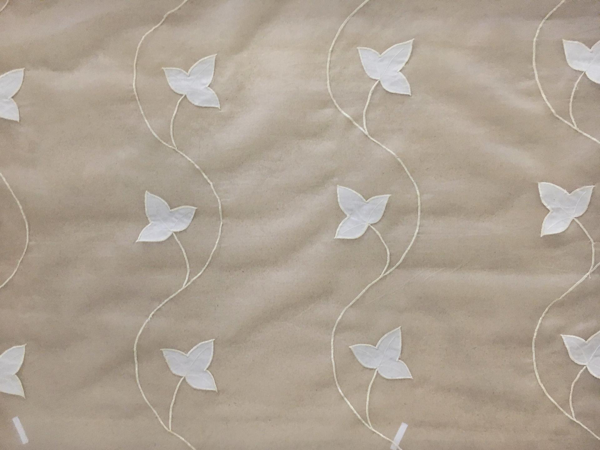 White Silk Organza Embroidered with Vines and Leaves in White0