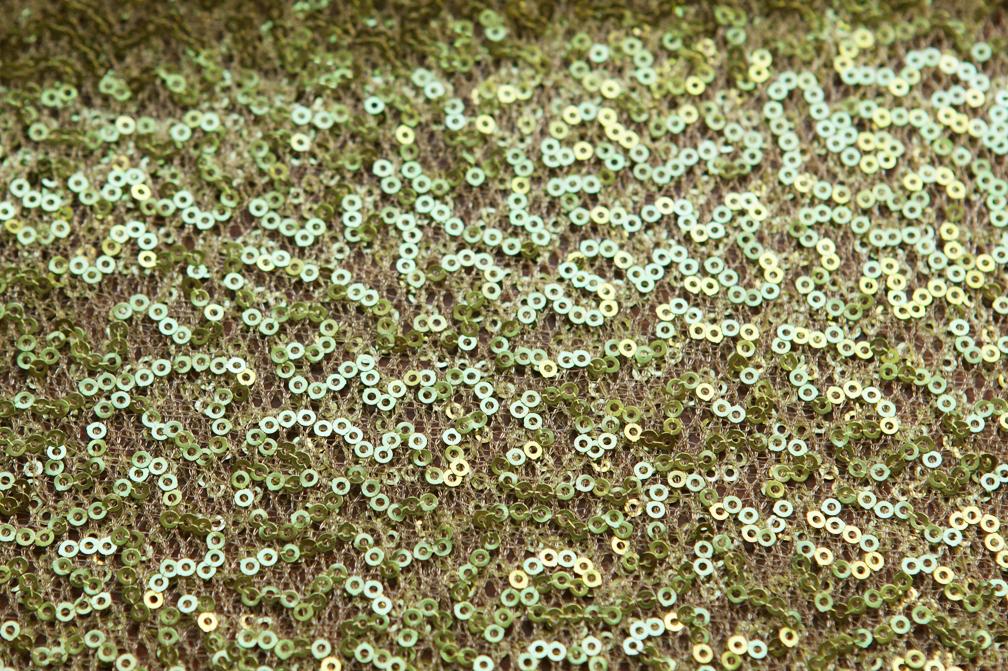 Sequins on Mesh3