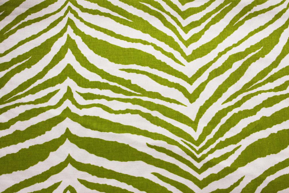 Printed Cotton Canvas0