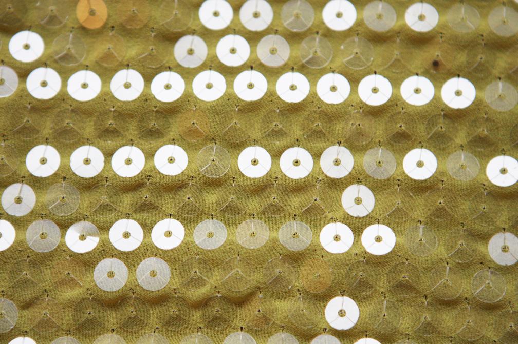 Sequins on Chiffon0