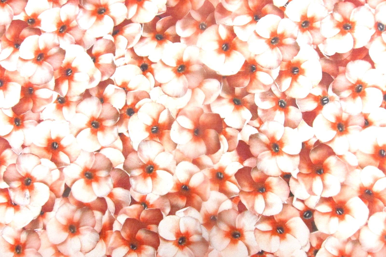 Printed Silk Organza0