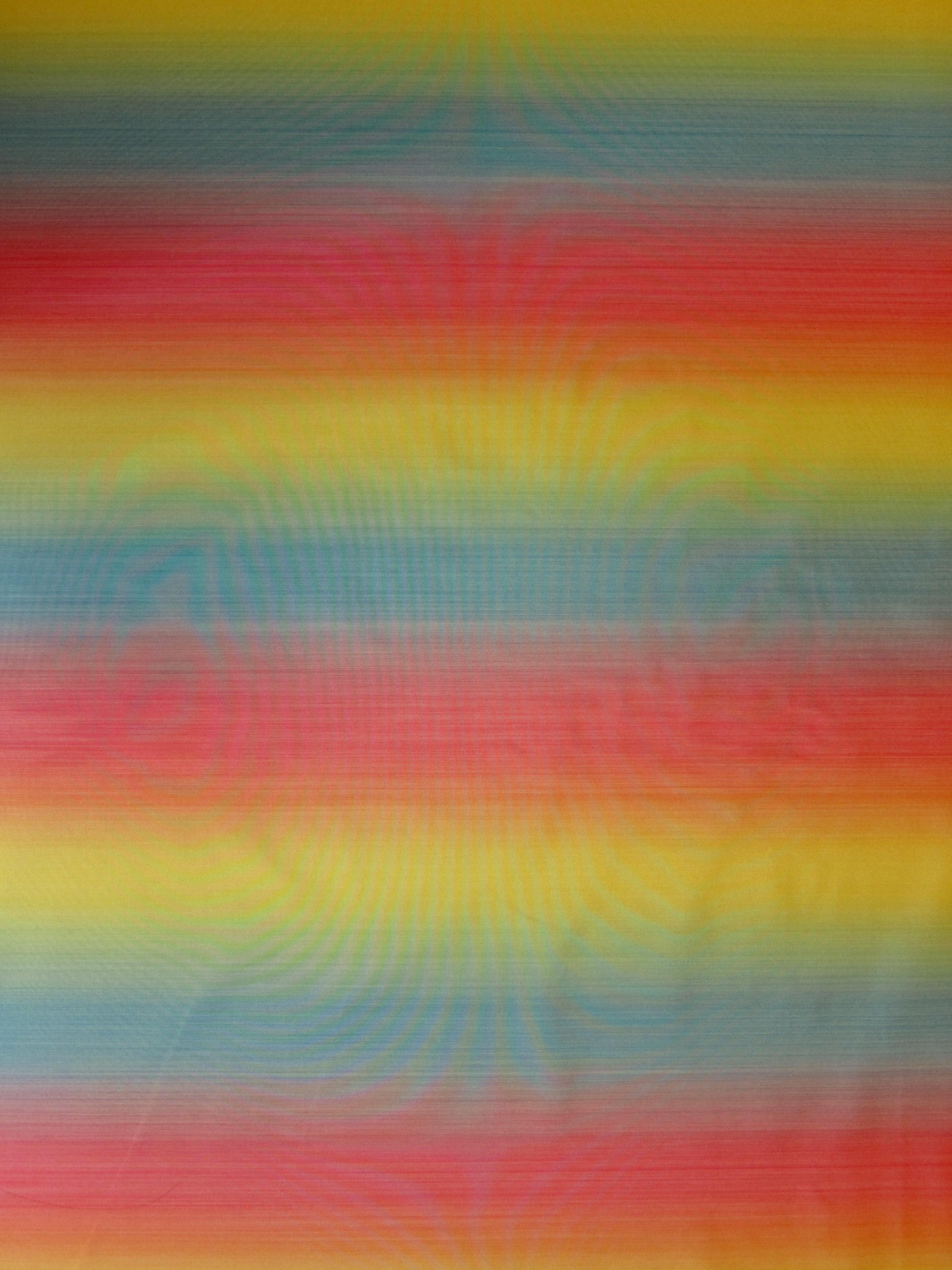 Silk Warp Printed Taffeta0