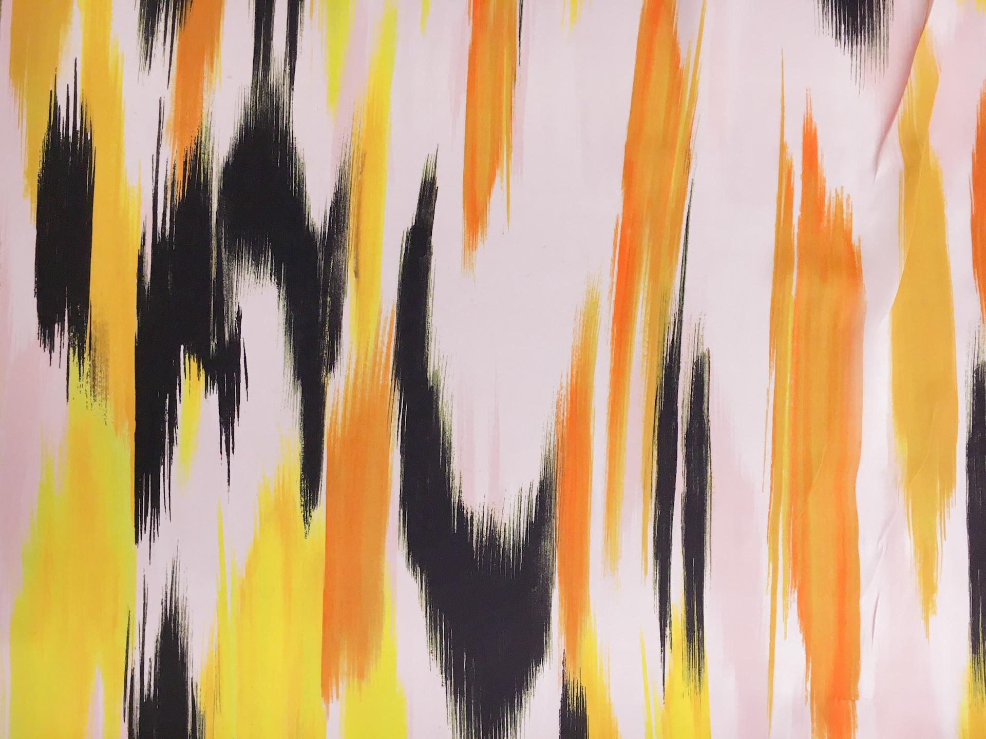 Printed Silk Charmeuse0