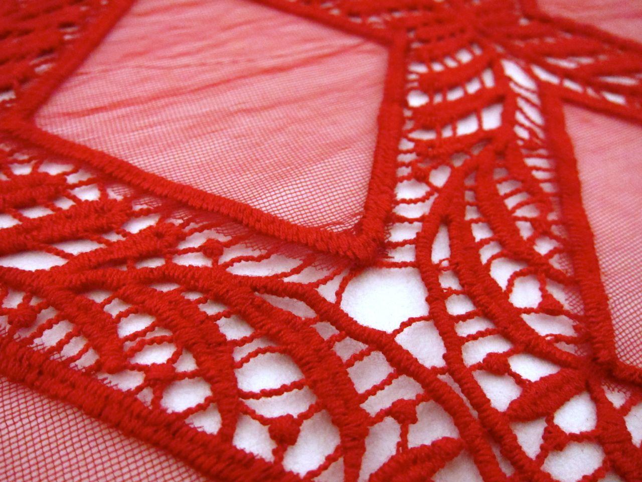 Novelty Embroidered Cut Out Tulle2