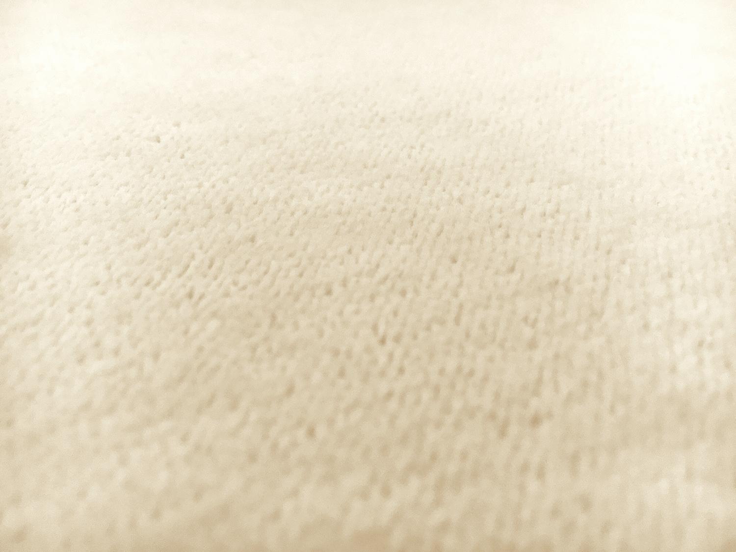 Cotton Terry Velour in Natural2