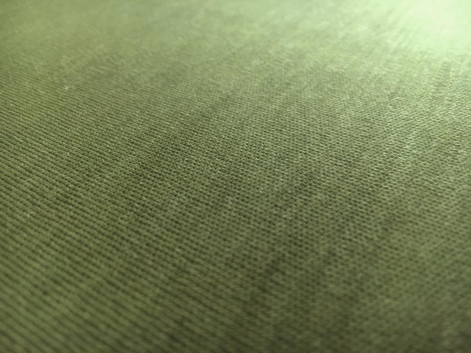 Austrian Virgin Wool Double Knit in Moss Green2