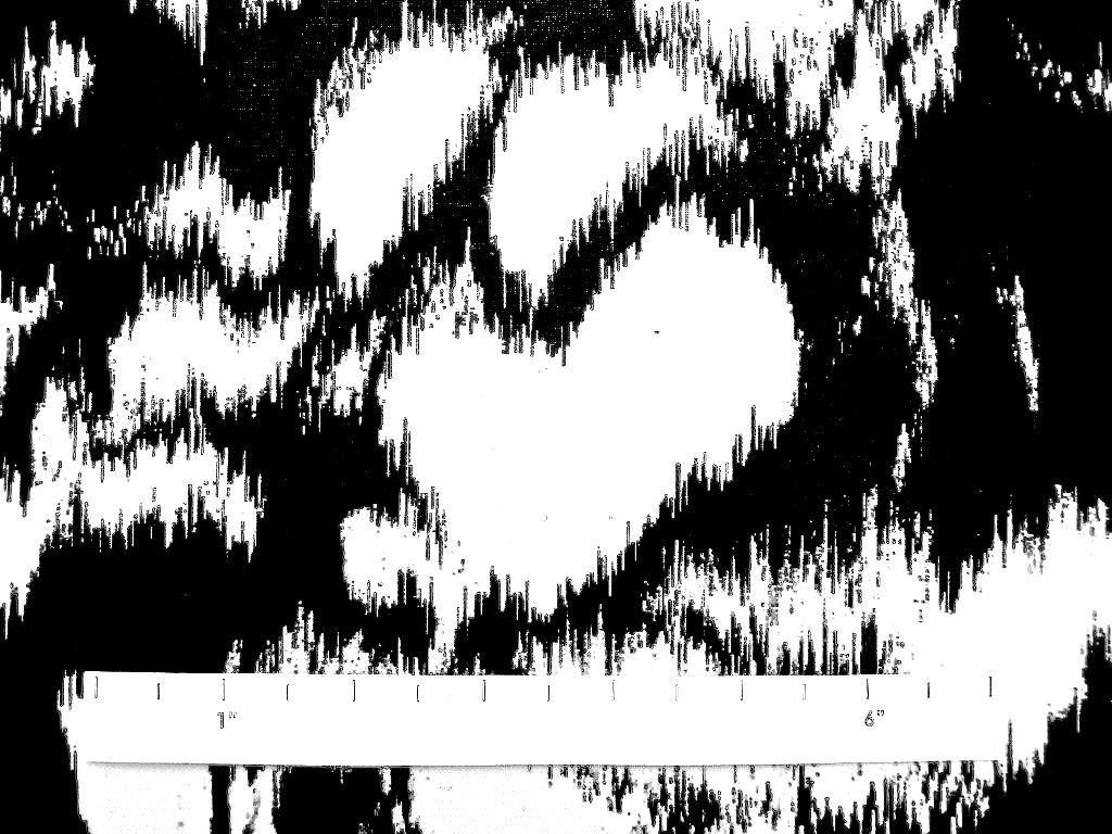 Liquid Look Printed Twill1