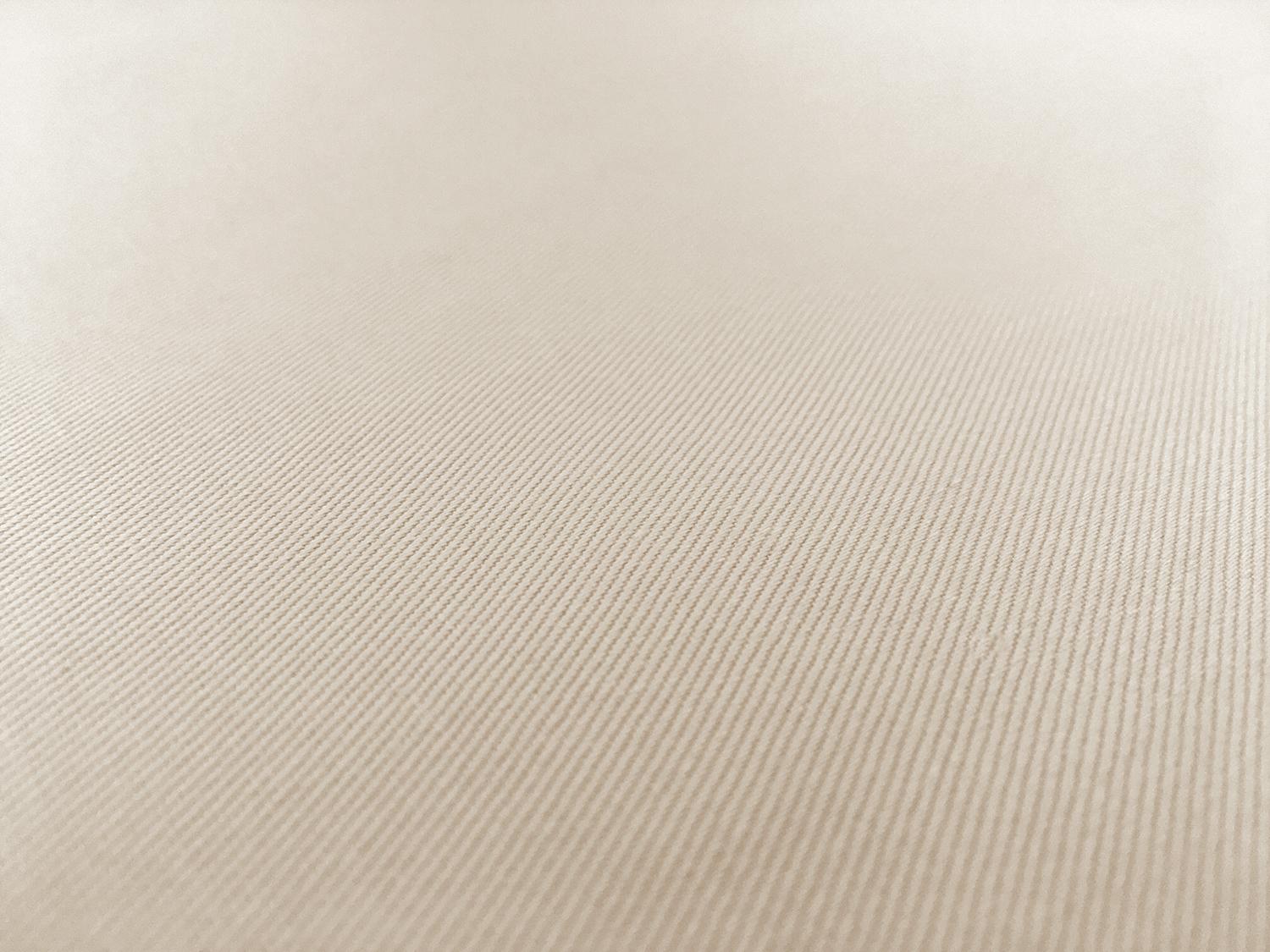 Japanese Cotton Kobe Twill in Eggshell0