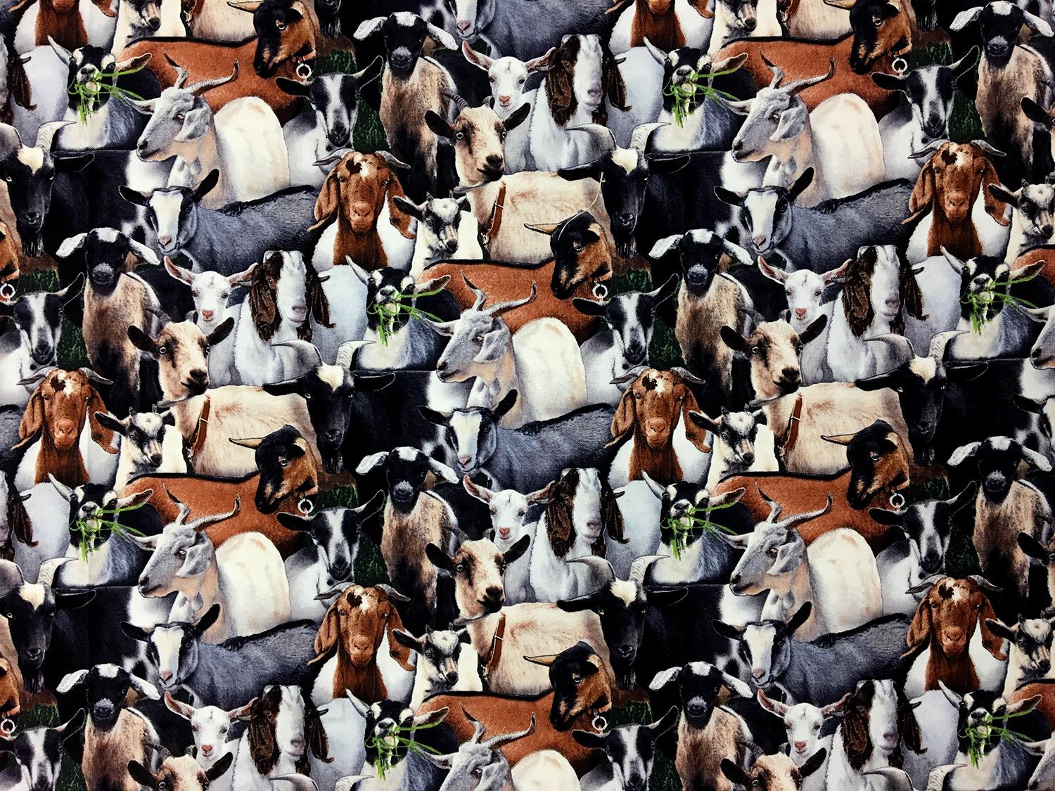 Cotton Broadcloth Print 0