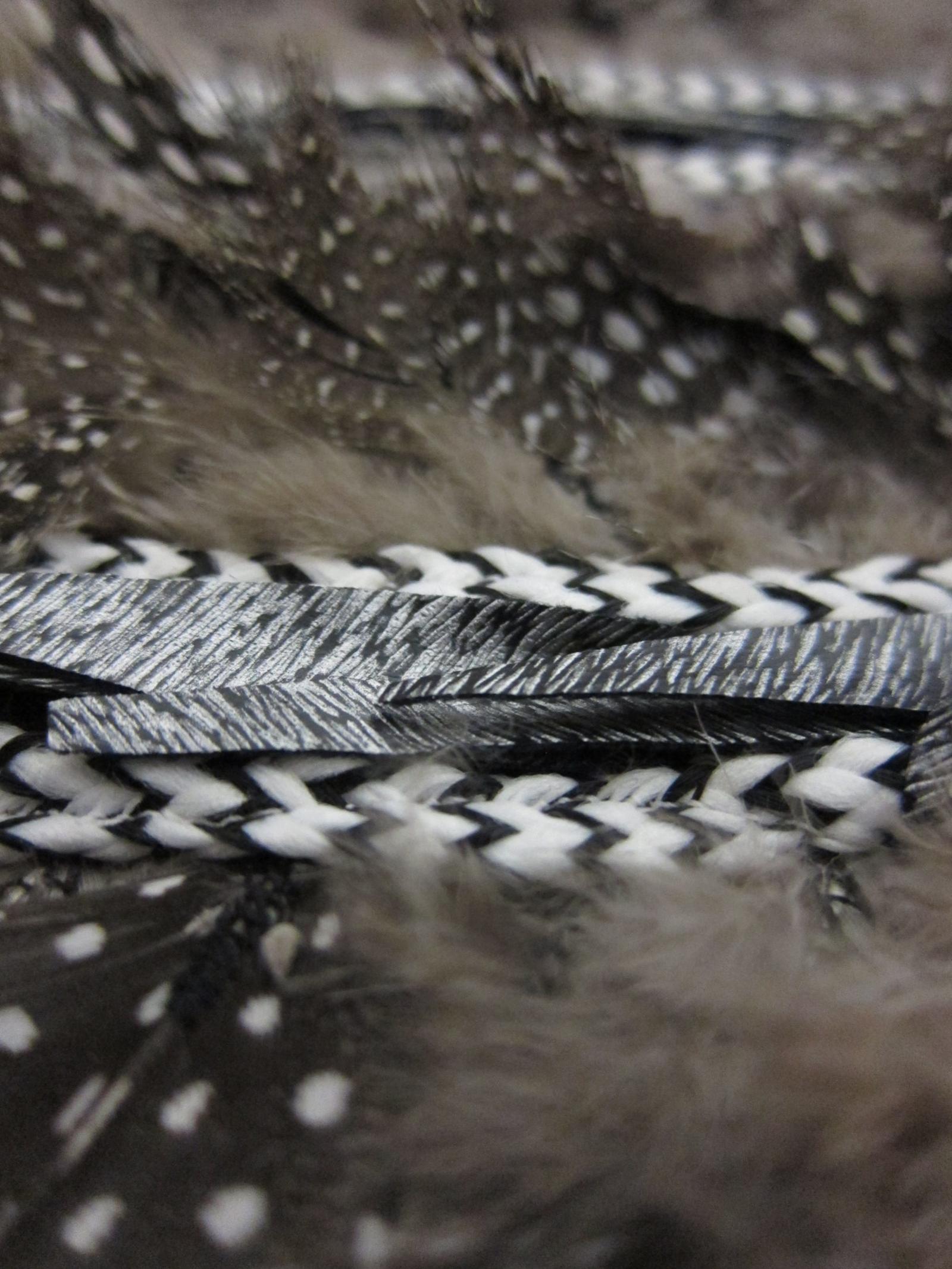Novelty Feathers2