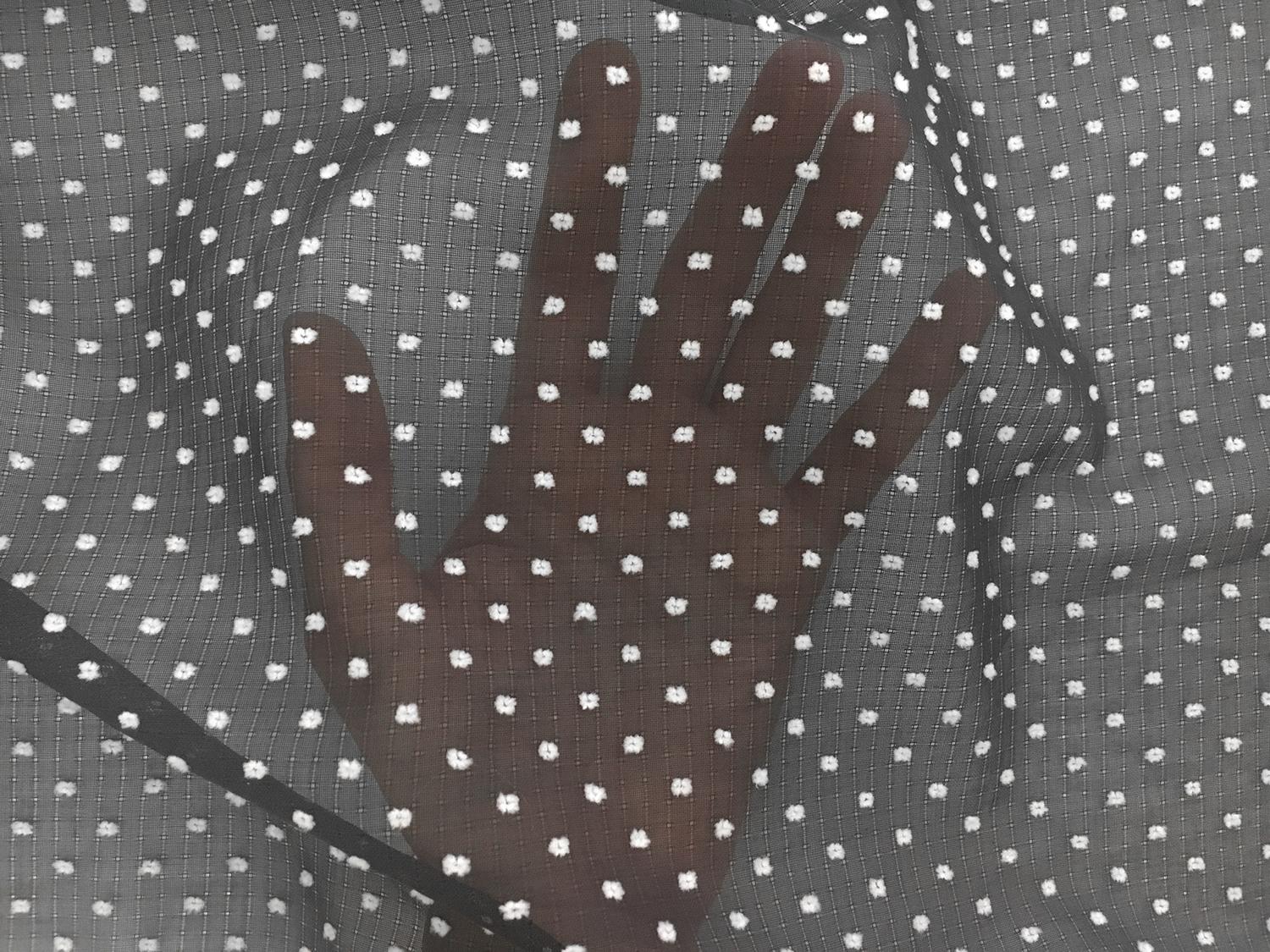 Cotton Plumetis in Black and White4