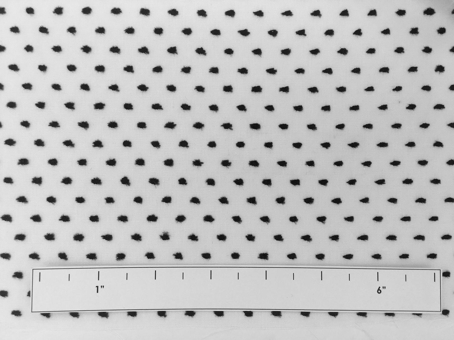 Cotton Swiss Dot in Black and White2