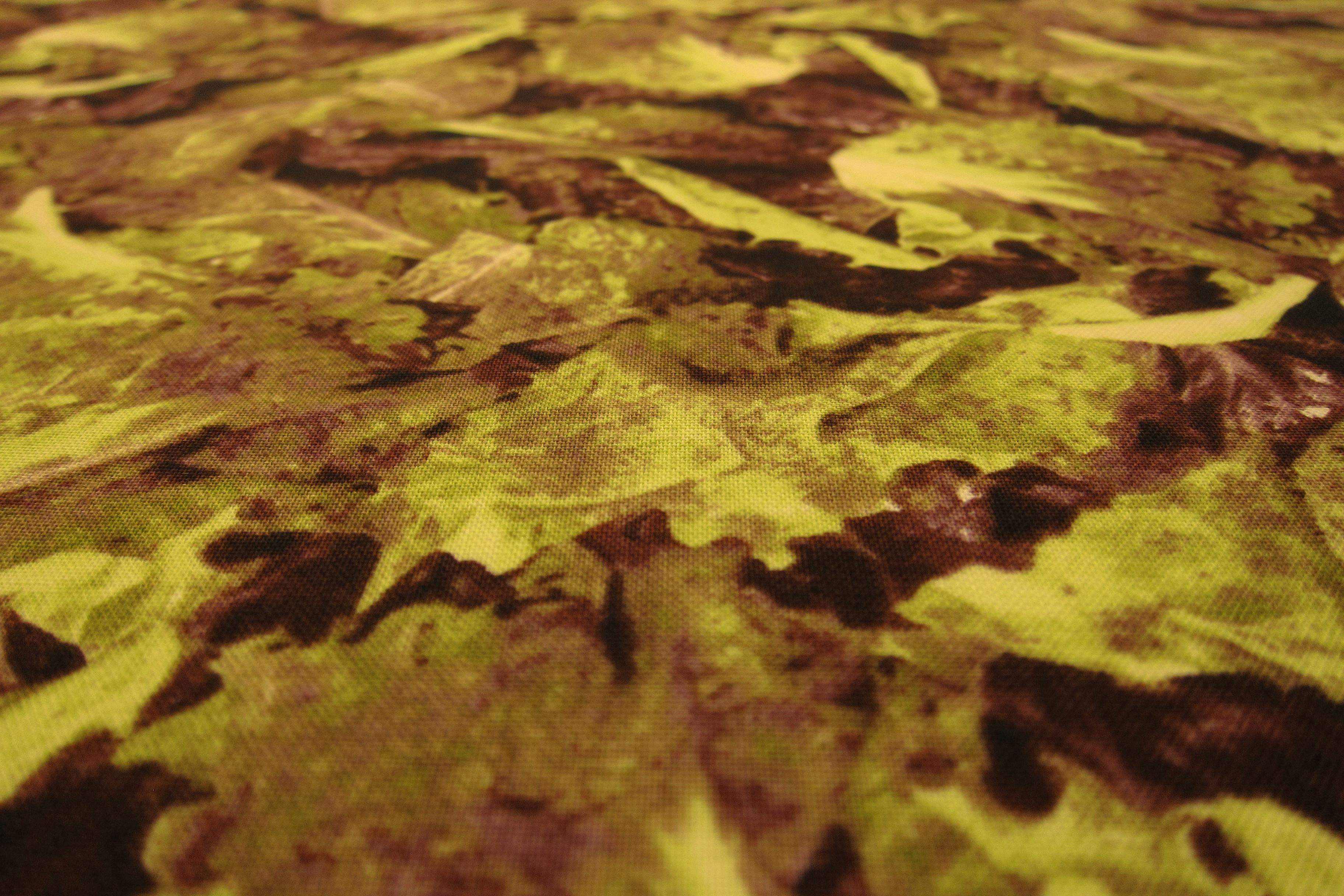 Cotton Broadcloth Print2