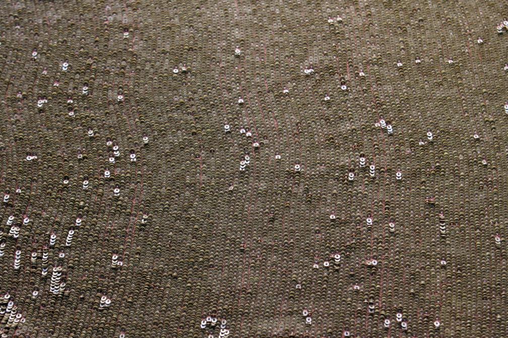 Sequins on Silk Chiffon0