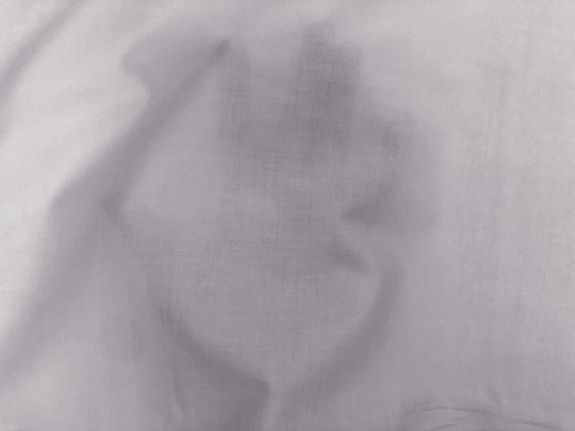 Cotton Lawn in Silver2