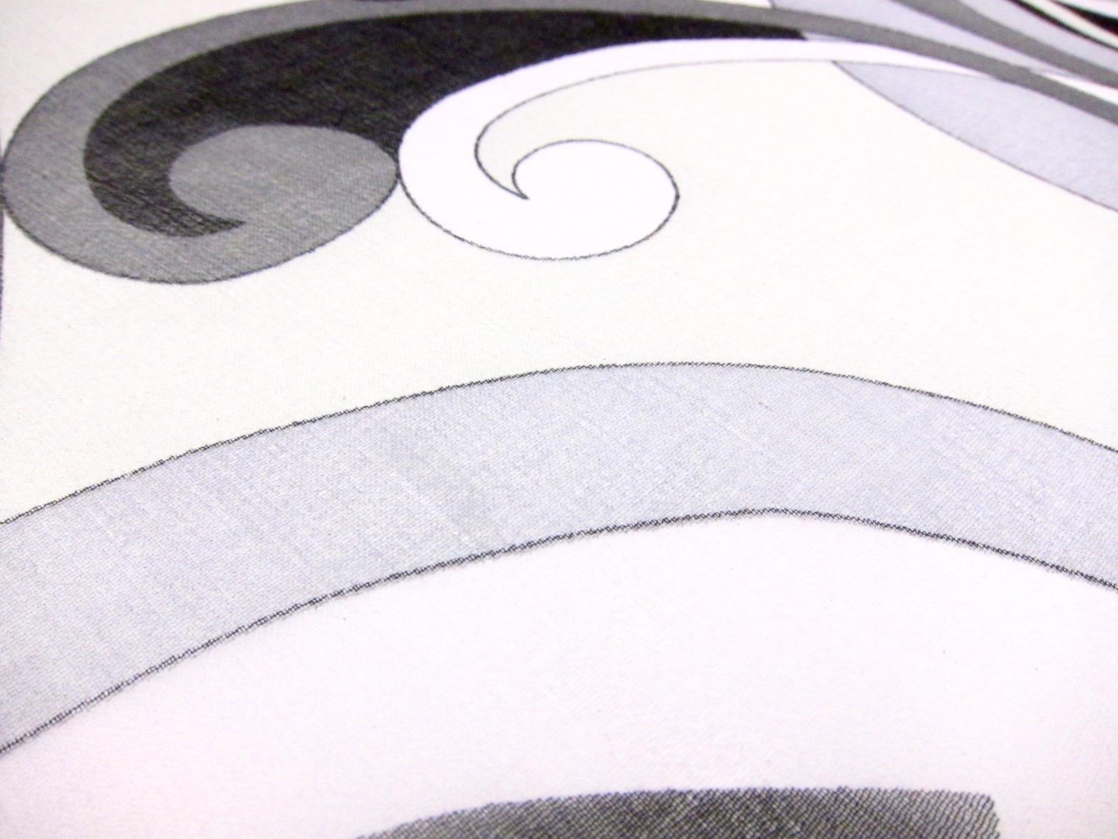 Printed Silk Chiffon2