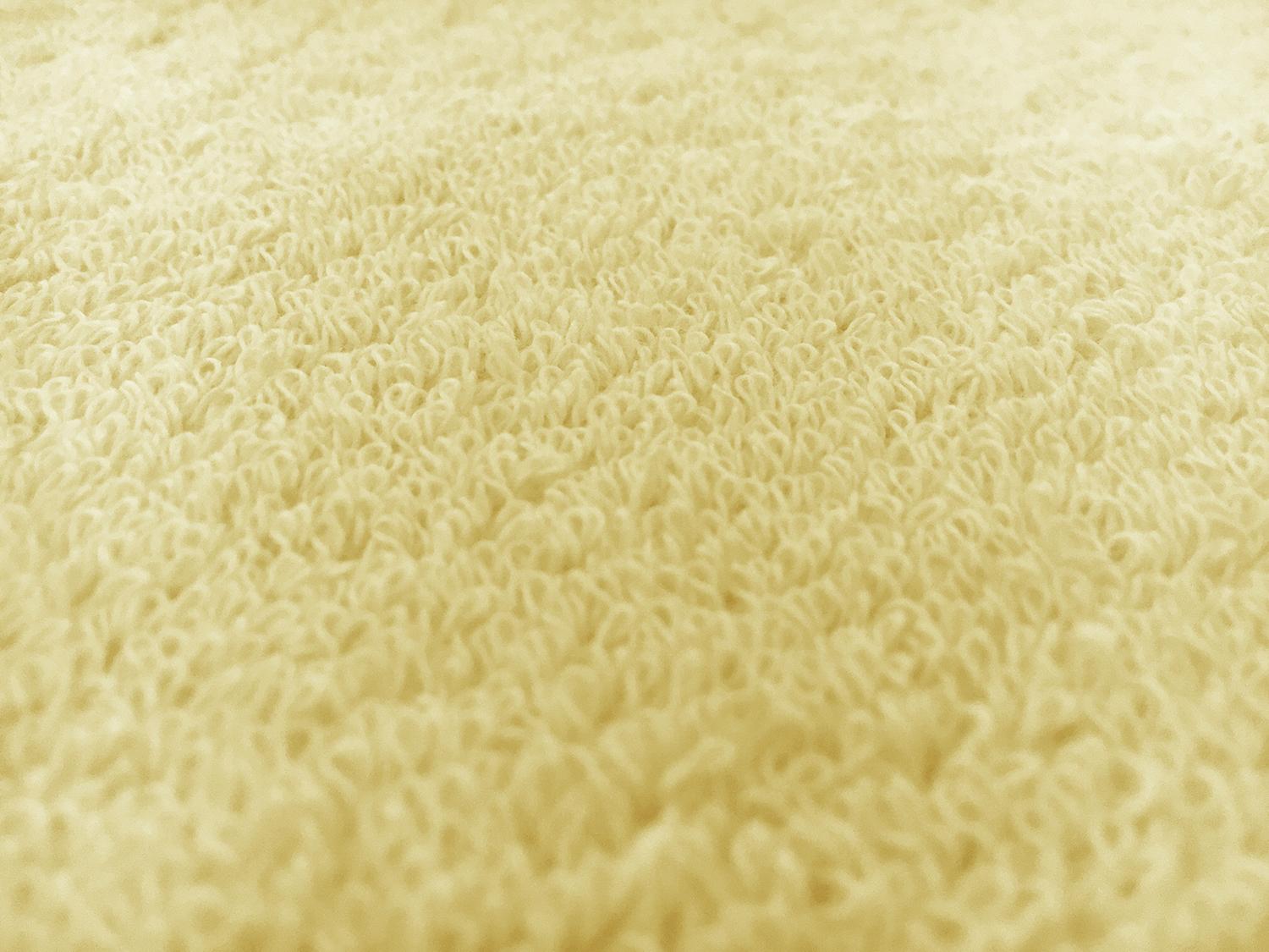 Cotton Terry Velour in Yellow3