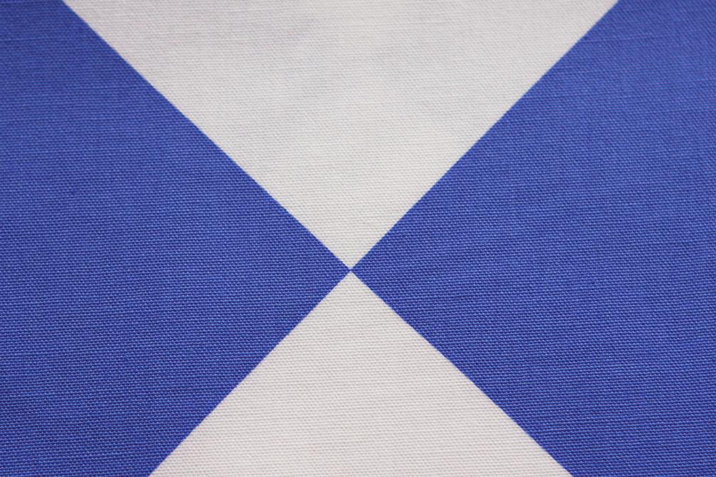 Printed Cotton Canvas2