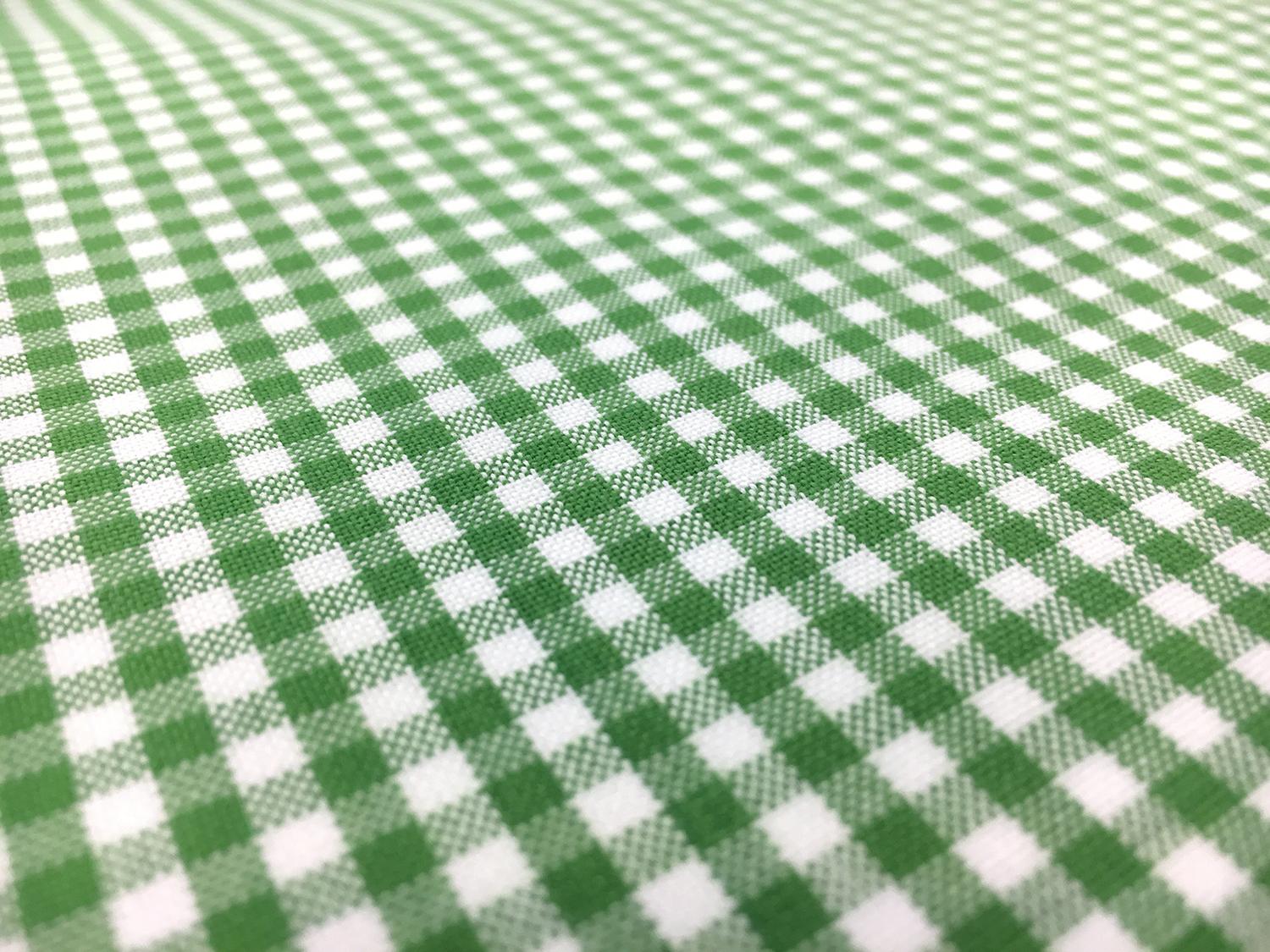 Carolina Cotton Gingham in Kelly2