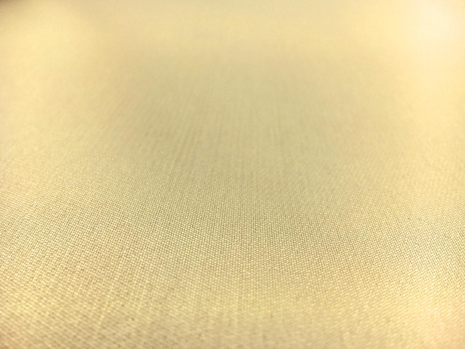 Silk and Polyester Zibeline in Taupe1