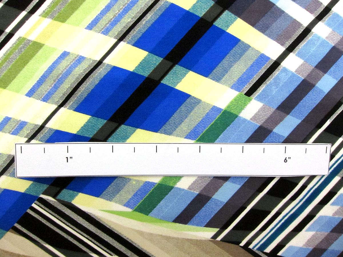 Printed Silk Charmeuse2