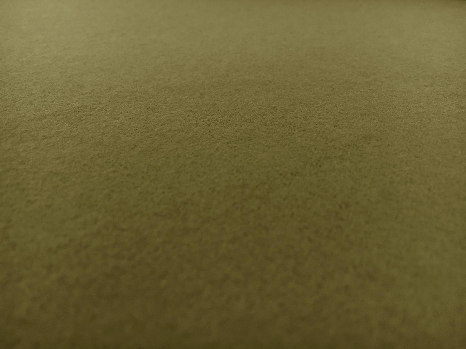 Cotton Flannel in Olive0