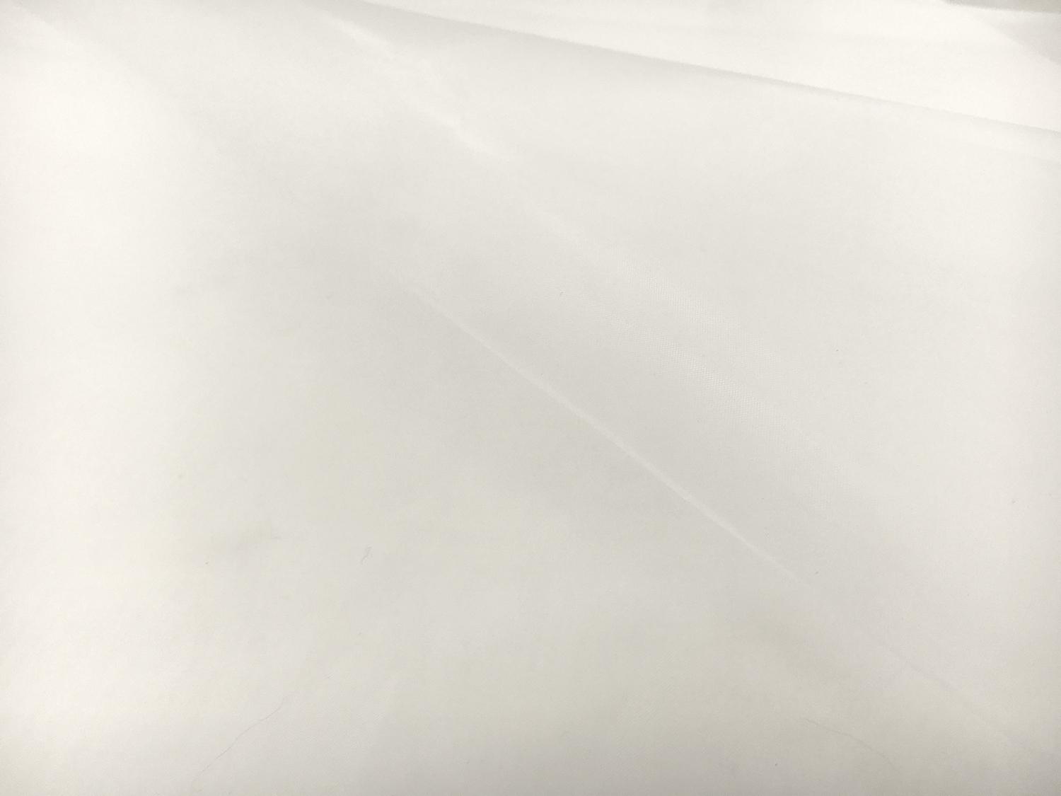 Japanese Polyester Extra Fine Organza in Off White2