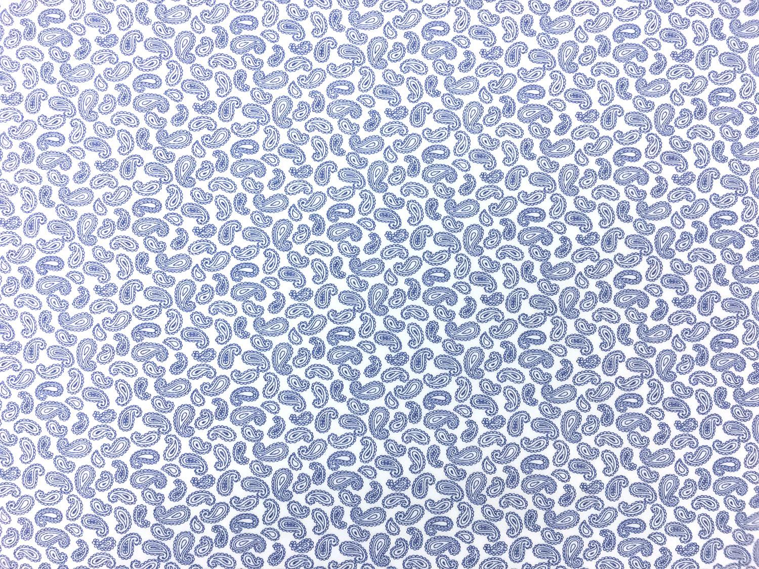 Cotton Broadcloth With Paisley Print in White And Blue 0