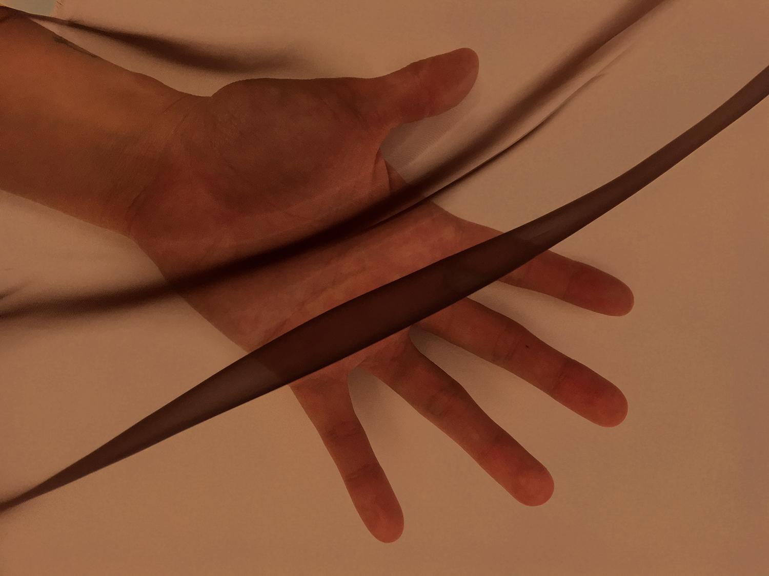 Japanese Polyester Extra Fine Organza in Brown1